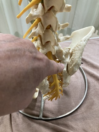 仙腸関節とAKA療法